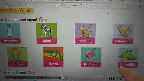 HOMEWORK - UNIT 5 LESSON 1 - FAF 3 + OXFORD PHONICS - VIDEO 2