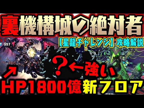 【星龍】裏機構城の絶対者! あのキャラで攻略解説!! 【ダックス】【パズドラ実況】