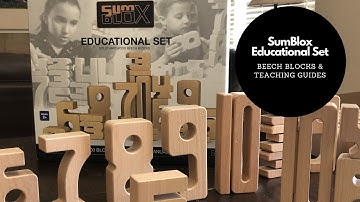 SumBlox Educational Set ~ Teach math ~ addition, subtraction, multiplication, fractions, & more!