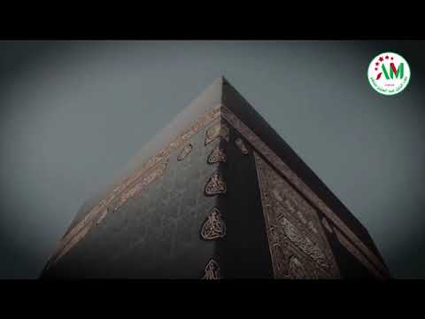 من مخيمات المطوف علاء الدين عبد العزيز محضر