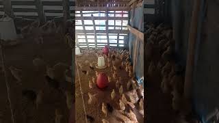 Https:www.facebook.com/Share/1A1Zadu4Aj/ Resimi