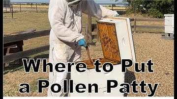 BEEKEEPING: How to Feed a Pollen Patty (And Where to Put it)