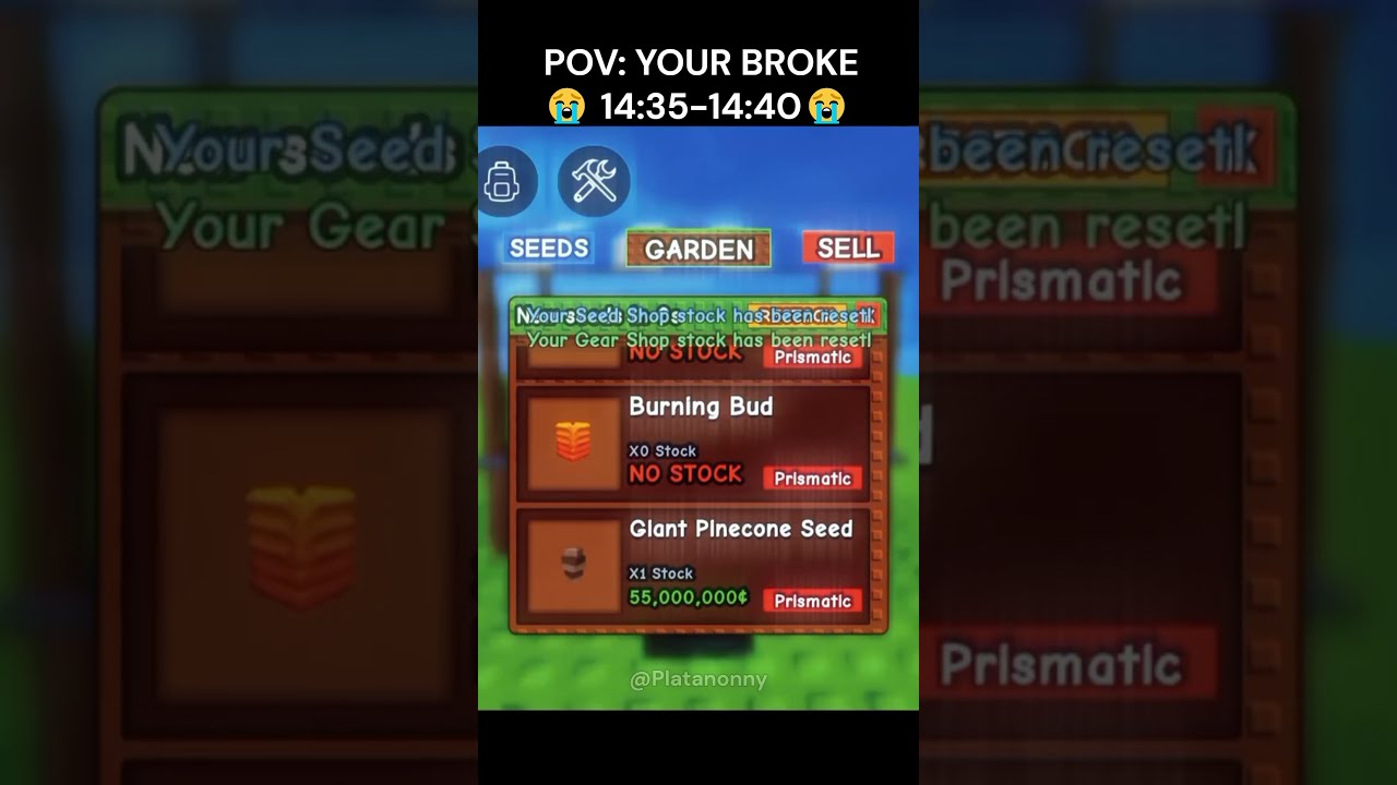 Did You Miss The Giant Pinecone Seed Grow A Garden Roblox Growagarden