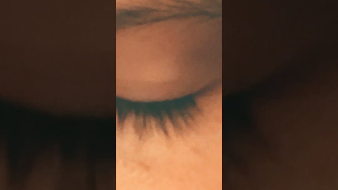  Eyes Happy Horse Helpmemakethismakesense Butifyoucloseyoureyes Dog Fyp Viral