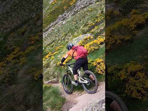 VTT - nose turns :)