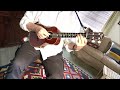 Hotel california solo  ukulele with looper