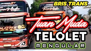 Telolet mengular tuan muda style bus Bris Trans