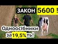 Закон 5600! Більше заплатить одноосібник чи платник ПДВ? Селянське ФГ. Знижки на МПЗ!