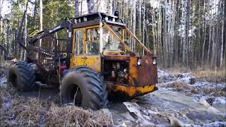 LKT-81 forest working |  ЛКТ-81 лесной трактор