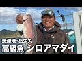 駿河湾でシロアマダイ釣りしたら最高の釣果だった！【焼津港・岳栄丸】※魚以外にも大物釣り上げた！