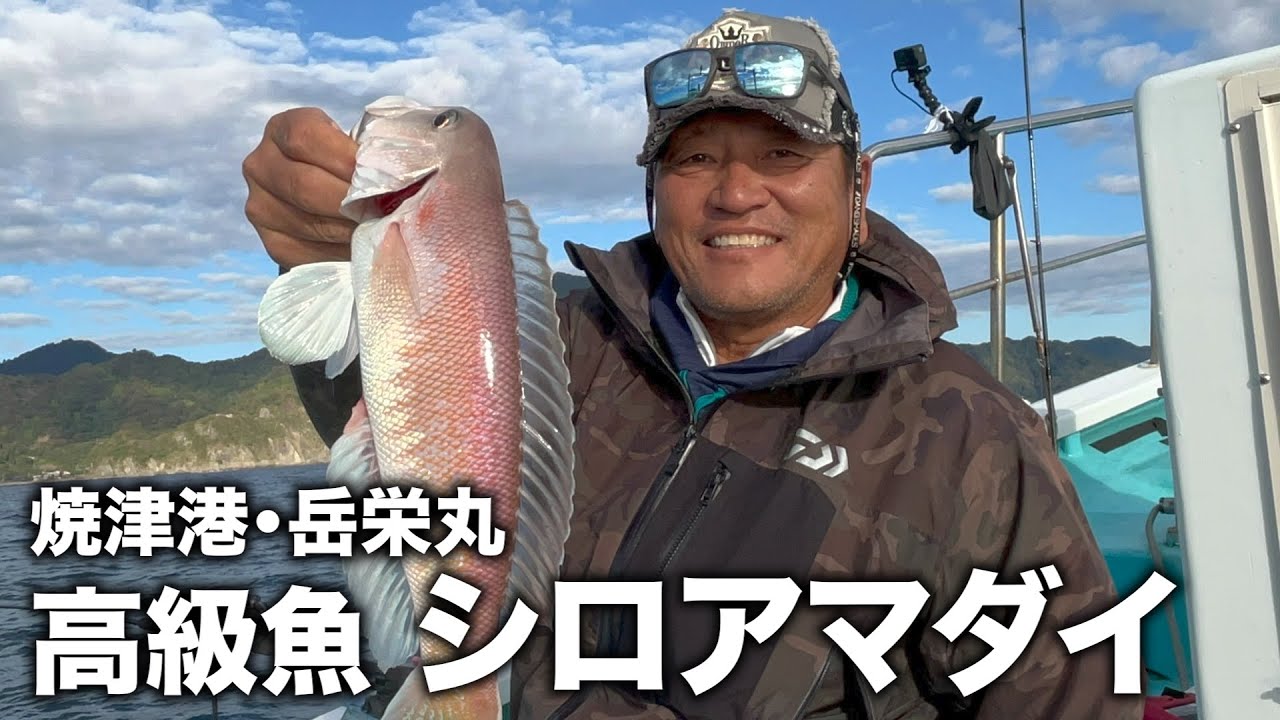 駿河湾でシロアマダイ釣りしたら最高の釣果だった！【焼津港・岳栄丸】※魚以外にも大物釣り上げた！