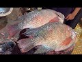 Amazing Big Tilapia Fish Cutting Skills Live In Fish Market | Fish Cutting Skills