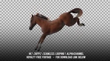 Horse red jumping. Isolated and cyclic animation.