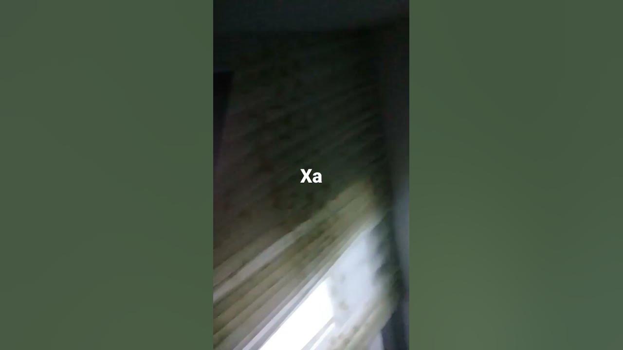 карнет - YouTube