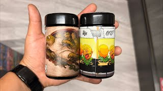 Its A Frog Day! Smoke Sessions Episode #495