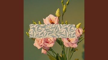 Alluring Backdrops for Virtual Cafes