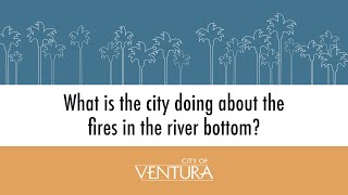 Celebrity Episode 4: What is the city doing about the fires in our river bottoms? Wealth