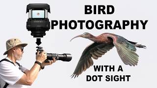 Bird Photography with a Dot Sight   OM System EE1