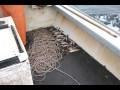 Setting a halibut trawl on the 'ol 51  boat.
