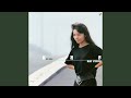 110km/hのハーバーライト