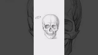 Easiest Way to Draw Human Skull #c2kanimeboys#skull#bones#trendingshorts#viralshort#drawing#shorts
