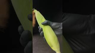 Συνταγή Tandoori Bhutta