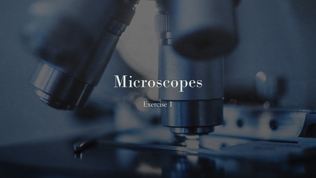 introduction to light microscopy