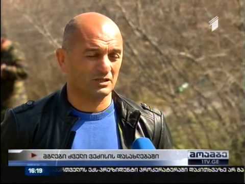 თბილისში მგელი მოკლეს (ვიდეო)