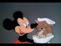 Mickey Playing With A Stray Cat