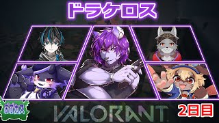【＃VALORANT】【銀蓮花視点】第二回！！ぶーぶカスタム開催！2日目【＃新人Vtuber】