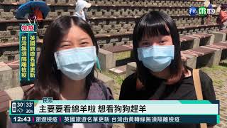 清境綿羊秀登場 遊客上山搶看羊咩咩|華視新聞 20210715
