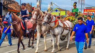 NAIK DELMAN ISTIMEWA | HORSE RIDING - NAIK KUDA | KUDA