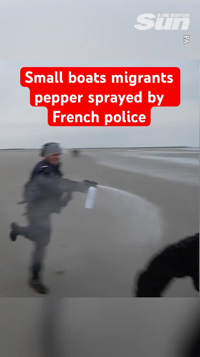 French cops pepper spray migrants in attempt to stop small boat crossing
