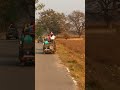 Jim Corbett Tiger 35 #tiger #shorts #ytshorts #shortsfeed #animals #jimcorbett #trending