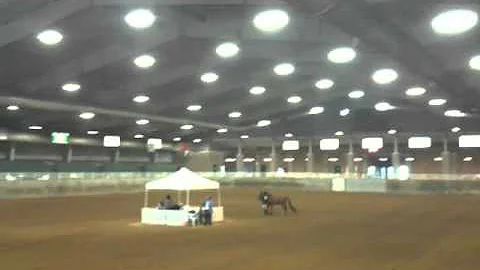 Jessica Knapton & Charize - Showmanship -7/9/2011 ...