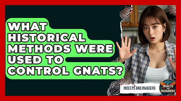 What Historical Methods Were Used To Control Gnats? - Insects and Invaders
