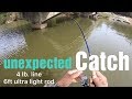 **Unexpected Catch** While Crappie Fishing