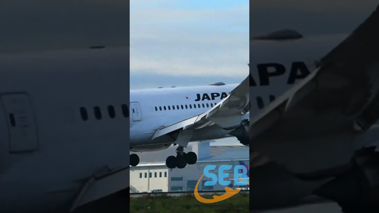 Japan Airlines 787 Dreamliner | #landing #aviation #airplane #film #4k #boeing #airlines