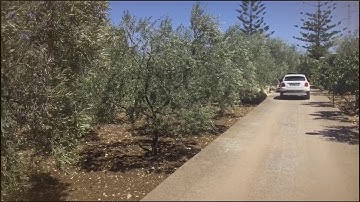 Test iPhone 6 Plus Zhiyun Smooth Q