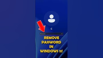 How to Remove a Password in Windows 11! The Quick and Easy Guide! #windows11