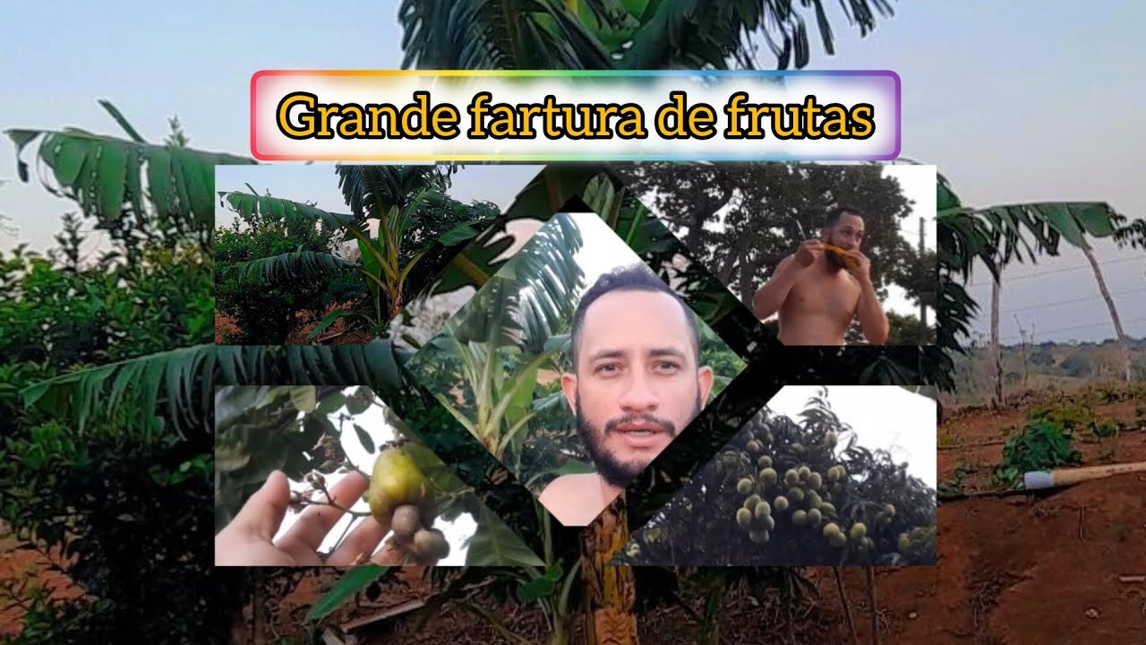 GRANDE FARTURA NO SITIO SAIR MAS UM ANO E MOSTREIA TUDO TUDO AQUI NO ...