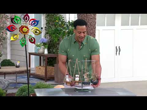 Mr. Sunshine Set of 2 Swinging Animals Garden Decor on QVC by QVCtv