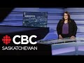 Cbc sk news police plan to tackle crime in pleasant hill birding for earth day