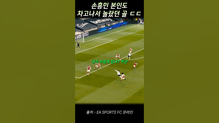 손흥민 본인도 차고나서 놀랐던 골 ㄷㄷ