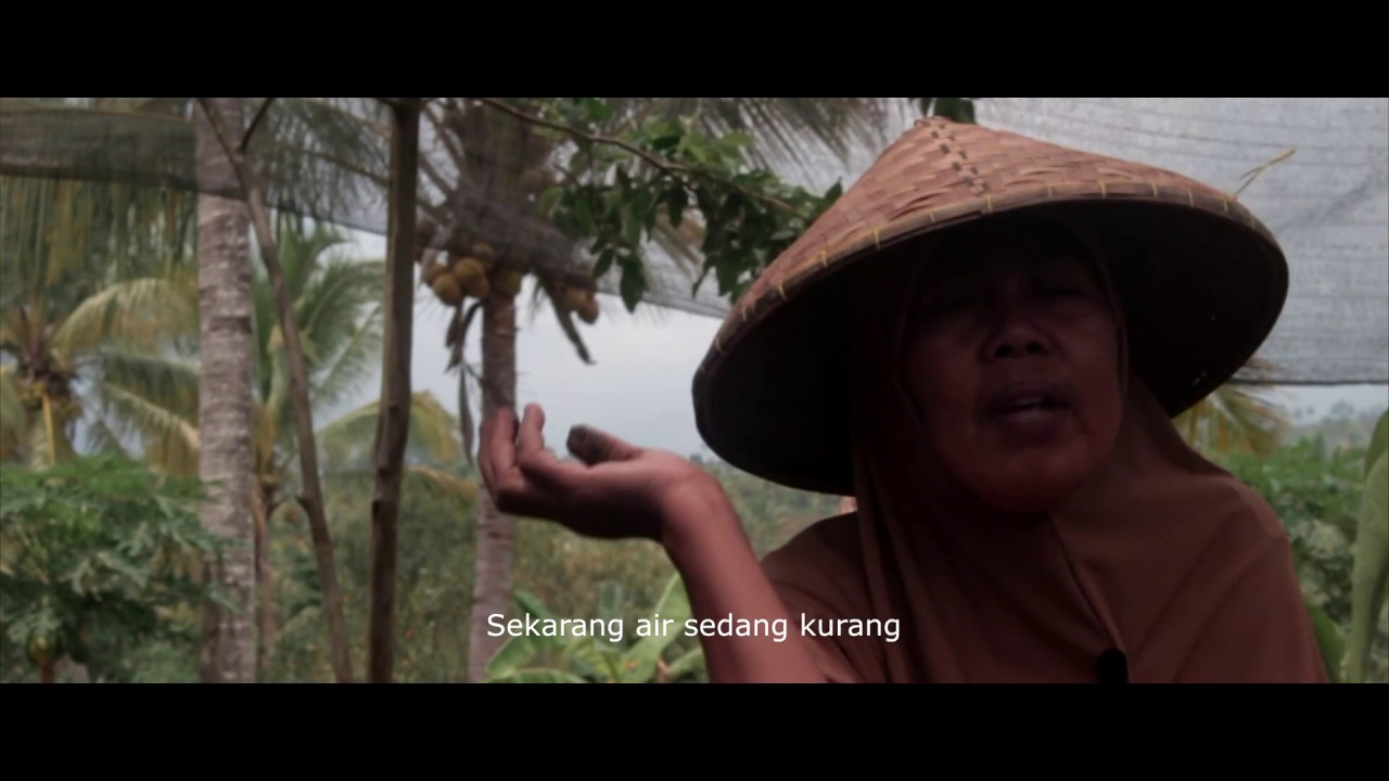 PEMBERDAYAAN MASYARAKAT PINGGIR HUTAN