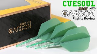 Cuesoul Darts ROST T19 CARBON Flights Review