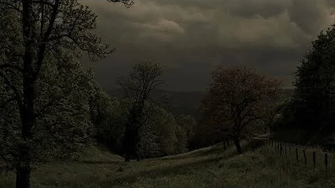 Freedom / alex g / lyrics / 1 hour