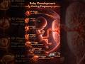 Key Stages of Baby Development During Pregnancy:#BabyDevelopment   #HealthyPregnancy #Pregnancy
