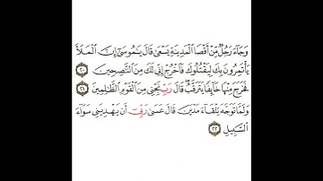 سورة القصص 7 القسم السابع تكرار كيفي من .. وجاء رجل من أقصى المدينة يسعى .. إلى .. سواء السبيل