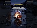 Послание дня#цитаты #shorts